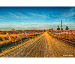 Dirt Road with American Flags Photo by Thomas Rollins Photography - Printed by Diversified Lab