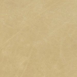 Color Swatch - Palomino