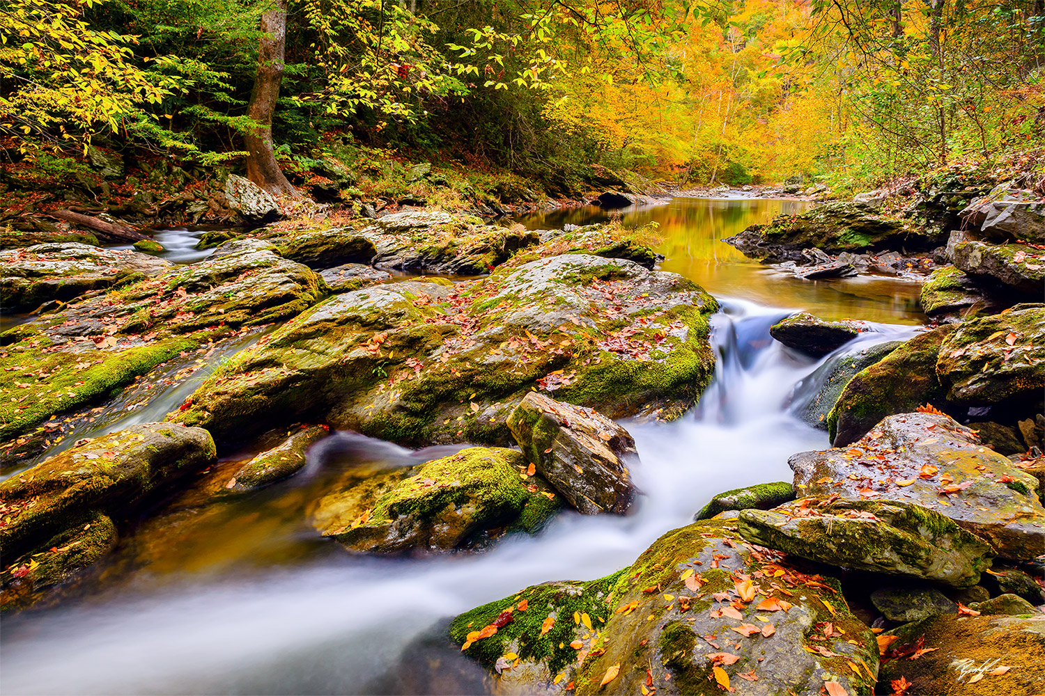 little-river-autumn-smoky-mountain-national-park
