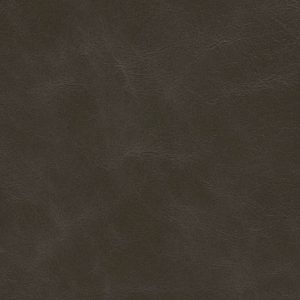 Espresso leather swatch