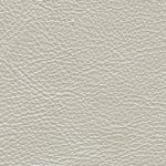 Pearl leather swatch