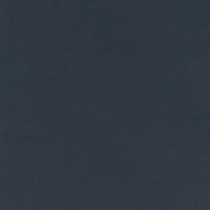 Rustic Navy
